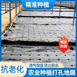 흑색유공비닐 멀칭비닐 0 02mmx150cmx500m 6공 H1235