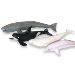 핑크돌고래 벨루가 귀신고래 범고래 모형 완구