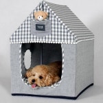 하우스 포켓베어 강아지 초코펫하우스