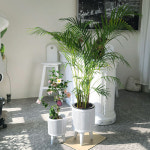 베하몰 마블 화분 클로이 세로줄원통 소