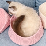 PET 고양이 바구니 숨숨집 바스켓 하우스