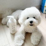 닥터블랭크 저자극 강아지 샴푸 베이비파우더향 500ml