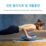 밸런스 중심잡는운동기구 코어 요가 보드 반구형 기구