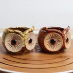 왕눈이 부엉이 미니화분 2P