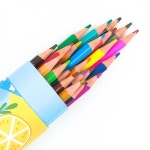 지워지는 채점 24색 색연필 세트