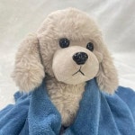 위드어스 담다 펫타월 세트 강아지 고양이 반려동품 극세사 타올 라이트 one size 1세트