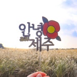 안녕 제주 여행 토퍼 폴라로이드 감성소품 인증샷 추억 셀프 꾸미기