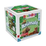 보드엠 Brainbox 동물