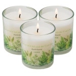 르미에 컵 캔들 150g 허브포레스트 아로마 향초 양초