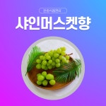 한솔식품원료 합성향료 샤인머스켓향 5kg 메이플향 5kg 오일타입 1개