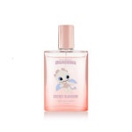 더페이스샵 소울 시크릿 블라썸 오 드 퍼퓸 드래곤 길들이기 에디션