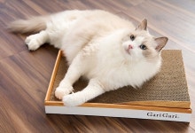 스크래쳐 펫라이프 플레이스 커브 고양이 가리가리