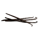 매드바닐라 플레니폴리아 바닐라빈 100g 1개
