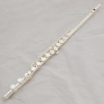N De Xin Flute 221 도금 전문 플루트 악기 중급 C 다리 16 홀 폐쇄 E 키 한개옵션0 1개