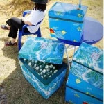 보온 보냉박스 스티로폼 아이스박스 52L 단열 업소용