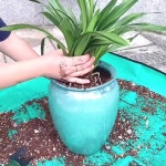 1pcs 심기 매트 원예 포팅 패드 접이식 정원 식물 꽃 냄비 이식 방수