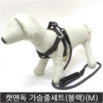 캣앤독 가슴줄 셋트 22800990