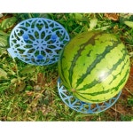 1개 수박 호박 작물 받침대 메론 참외 과일 과실 트레