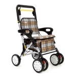 코리아케어서프라이 RAONATTI 라온아띠 보행기 노인 어르신 보행보조기 KCS-303