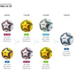 5호-축구 축구 공 월드컵 축구4호 축구5호 풋살 공 스타축구 스타축구공 더 폴라리스 2000 4호