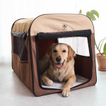 딩동펫 반려동물 접이식 소프트 켄넬 브라운