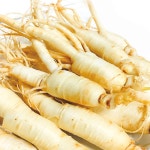 금산고려인삼 수삼 바로삼 최고급형 믹서 260g 1개