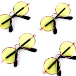 강아지 고양이 선글라스