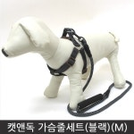 캣앤독 가슴줄 셋트