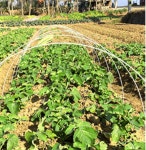 재단 농업 비닐 텃밭 농사용 온실 만들기 보온 터널 주말농장 비닐하우스