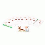 KC인증전세계독점-양과강아지sheep dog 색상랜덤 X 2매입