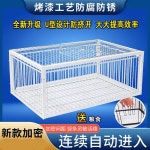 비둘기 트랩 조류 까치 사냥 까마귀 60X60