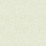 로라애슐리 Laura Ashley 로라 애슐리 리틀 바인즈 벽지 헤지로우 113352