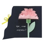 카네이션 팝업 여름 카드 만들기 5EA