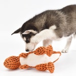 씹는 공룡 모양 옥수수 보컬 훈련 운동 적용 시뮬레이션에 치와와