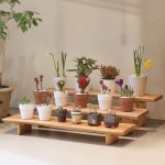 우드 인테리어 화분 진열대 원목 선반