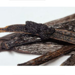 타히티 바닐라빈 1ea 약10g 홈베이킹재료 제과제빵