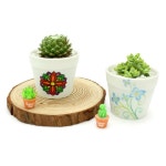 초등 반려식물키우기 다육이심기 그리기화분 2인세트 미술만들기재료