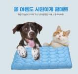 메쉬 반려동물 쿨매트 냉감 패드 침대 통기성 블루M
