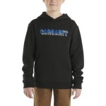 칼하트 Carhartt 남아용 니트 긴소매 후드넥 스웨트셔츠 캐비어 그래픽