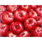 케이엠엘리 부귀 홍사과 캔버스 보석십자수 사각 40x50 LWCFD80C