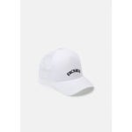 4570875 Dickies SHAWSVILLE TRUCKER UNI - Cap cloud