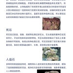 성형락 관상어 관상용새우 해수 자연 조경 산호 인공 해수어항