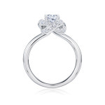 골든듀 칸타빌레 클래식5C 반지 211200050