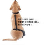 생활 건강 반려동물 기타반려동물용품