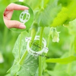 50-100pcs 토마토 클립 식물 포도 나무 플라스틱 브래킷 연결 바인딩 정원 후크