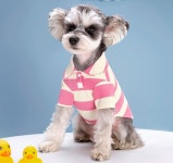 강아지 스트라이프 카라티