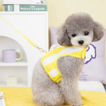 가슴줄 반려동물 의류 하네스 세트 새끼 고양이 강아지 줄무늬 태양 꽃 소형 중형 개