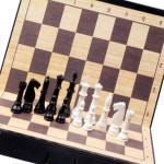 체스 보드게임 자석식 두뇌발달 장난감 중형 체스세트 즐거운 두뇌게임 WFJ5T1V