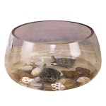 원형어항 둥근 어항 유리 관상용 물고기 금붕어 그릇소형