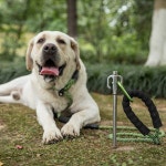 캠핑 강아지 목줄 스텐 고정팩 1P 말뚝 안전팩 K45-30